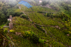 DJI_0992