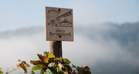 Batterieberg Weinberge